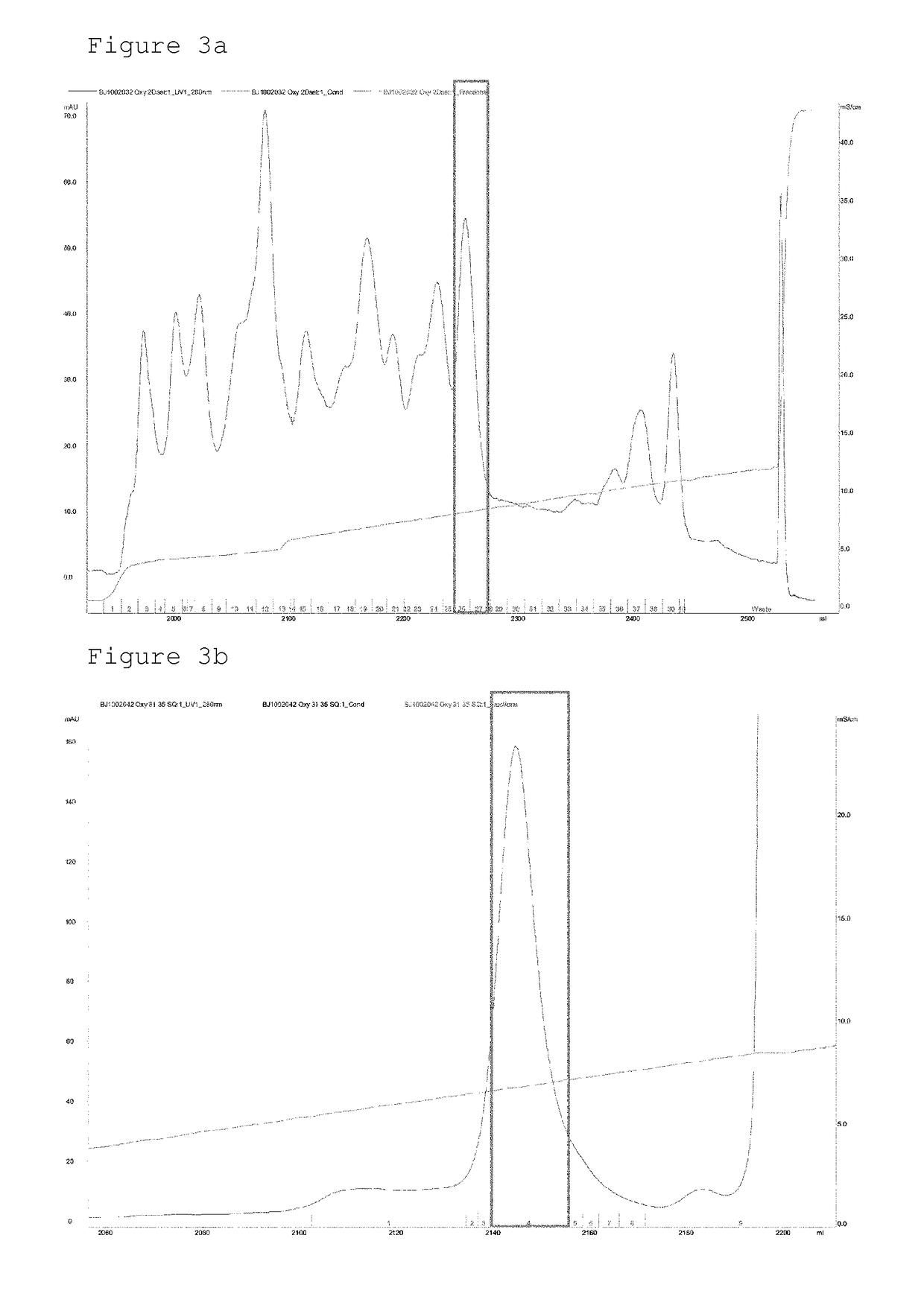 Conjugate comprising oxyntomodulin and an immunoglobulin fragment, and use thereof