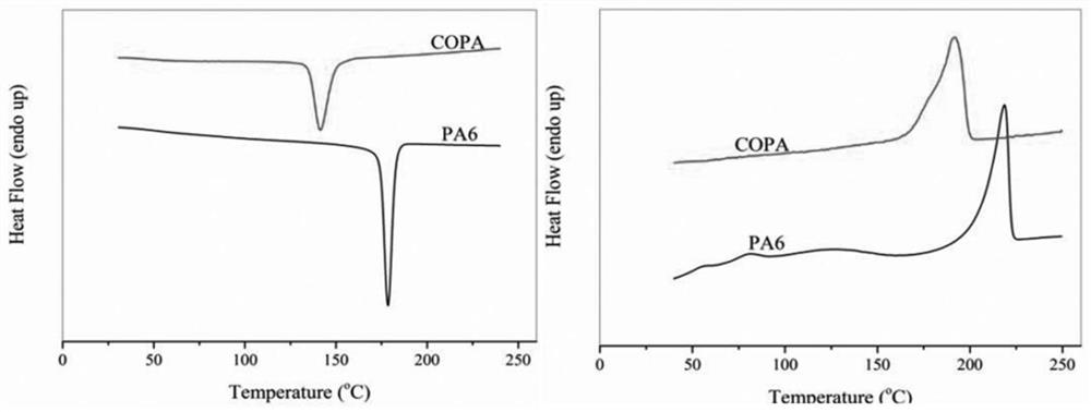 Polyamide functional master batch carrier resin and polyamide functional master batch