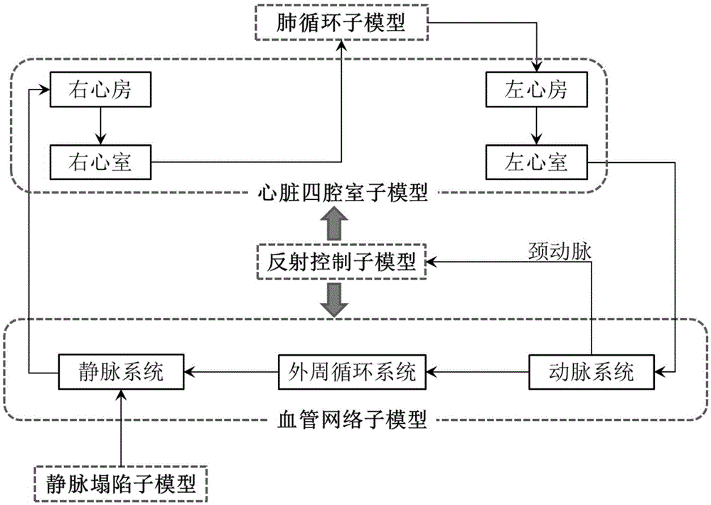 Distributed Cardiovascular System Simulation Model