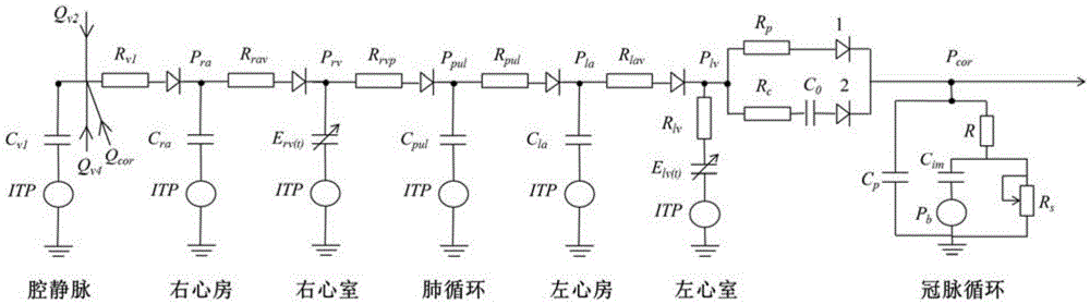 Distributed Cardiovascular System Simulation Model