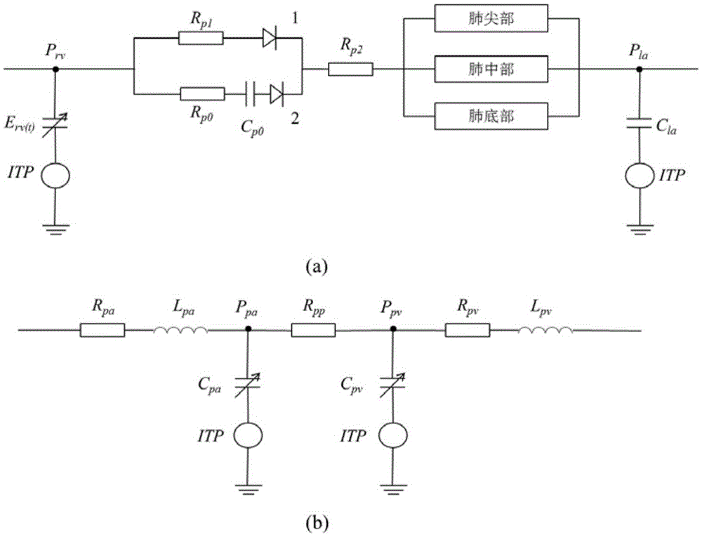 Distributed Cardiovascular System Simulation Model