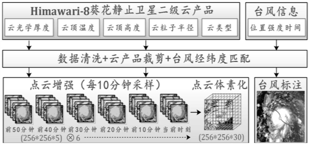 Typhoon intensity determination method and system based on point cloud voxels, equipment and medium