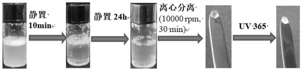 CO&lt;2&gt;/N&lt;2&gt; switch type fluorescent liquid-liquid phase separation nano-droplet and preparation method thereof