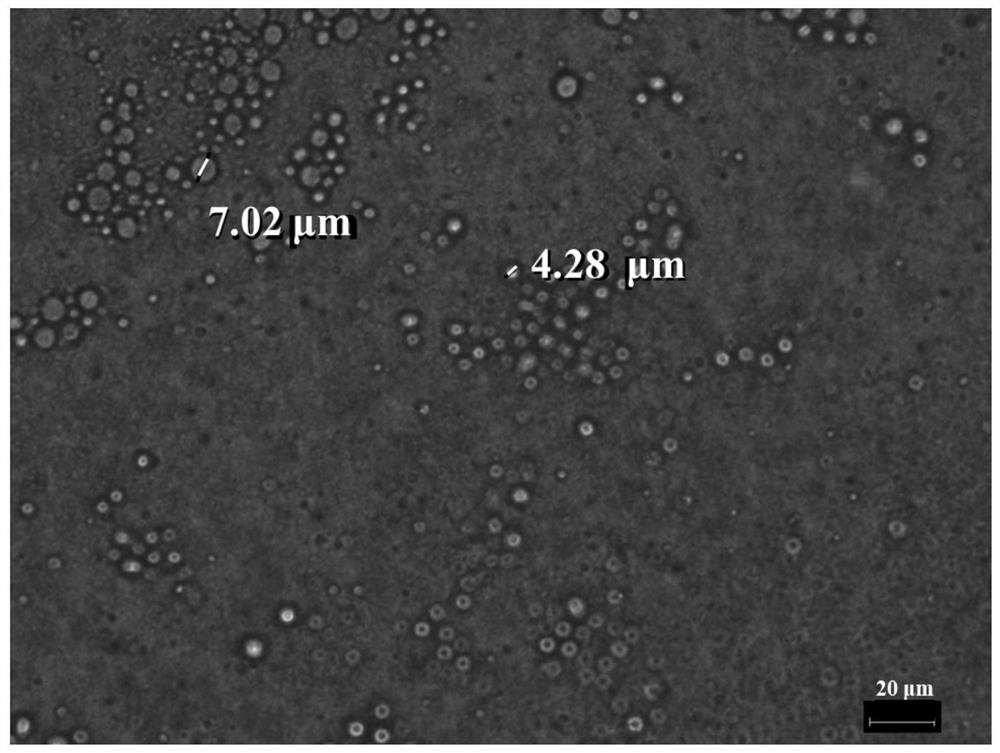 CO&lt;2&gt;/N&lt;2&gt; switch type fluorescent liquid-liquid phase separation nano-droplet and preparation method thereof