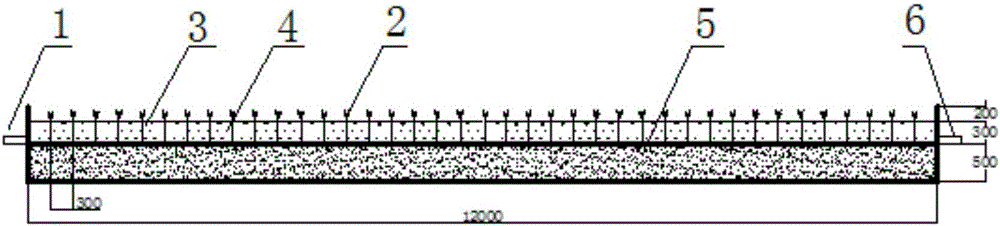 Method for enriching nontoxic green algae on surface current wetland to control water quality