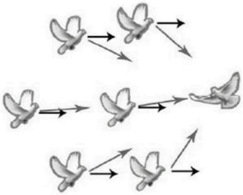 Quad-rotor unmanned helicopter explicit prediction control method based on loft optimization