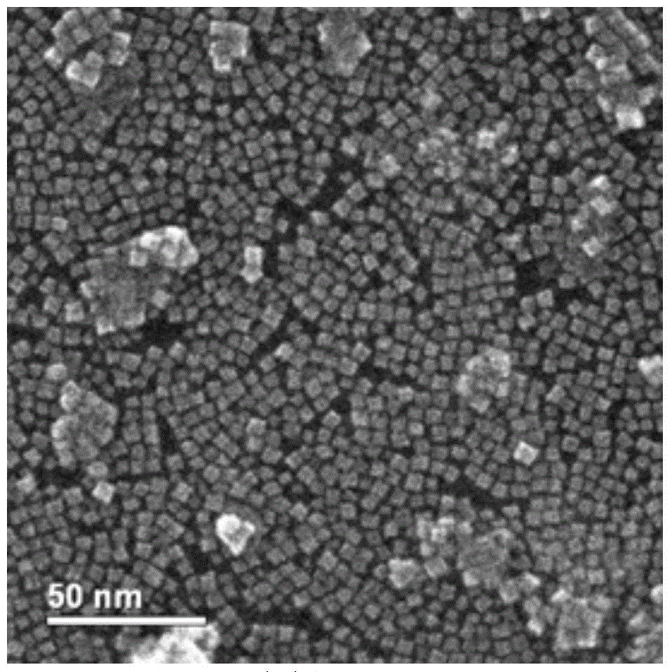 A graphite sheet/self-assembled nanometer cobalt tetraoxide lithium ion negative electrode material, preparation method and lithium battery using the same