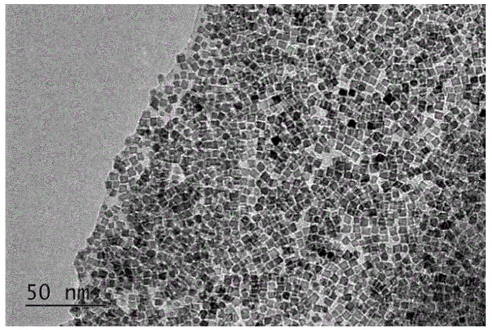 A graphite sheet/self-assembled nanometer cobalt tetraoxide lithium ion negative electrode material, preparation method and lithium battery using the same