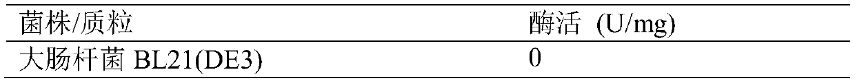 α-Transaminases and mutants and their application in asymmetric synthesis of l-glufosinate