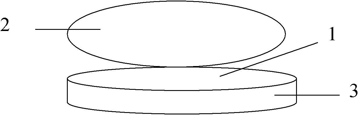 Application and preparation method of compound madopar to preparation of information therapeutic medicine and novel medicine prepared from compound madopar