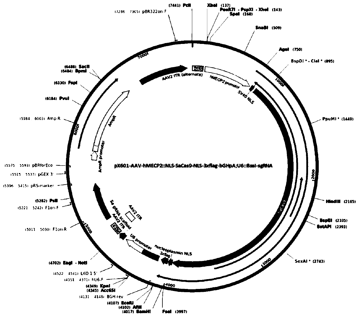 Method for improving social intercourse disorders of autism