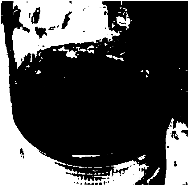 Rooting medium of Lycium ruthenicum and preparation method thereof