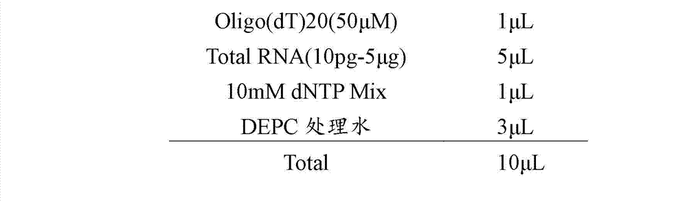 Method for preparing inhibitor for reducing tobacco nicotine synthesis by using double-stranded RNA interference technology, and applications of inhibitor