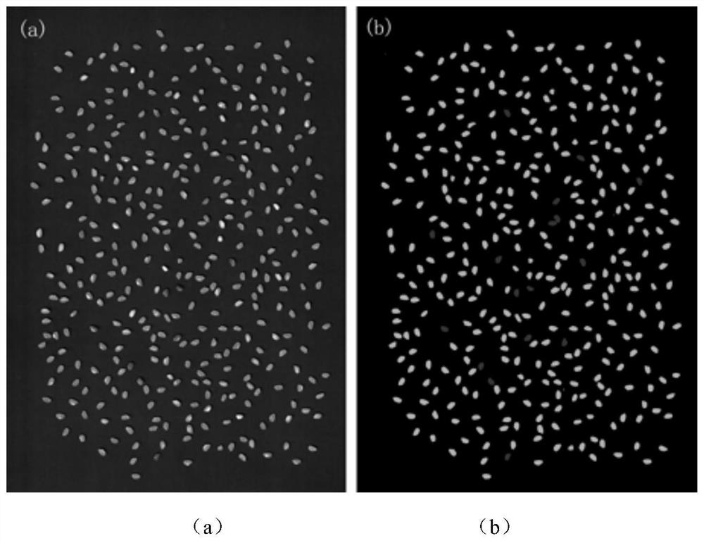 A method for rapid detection of yellow-grained rice