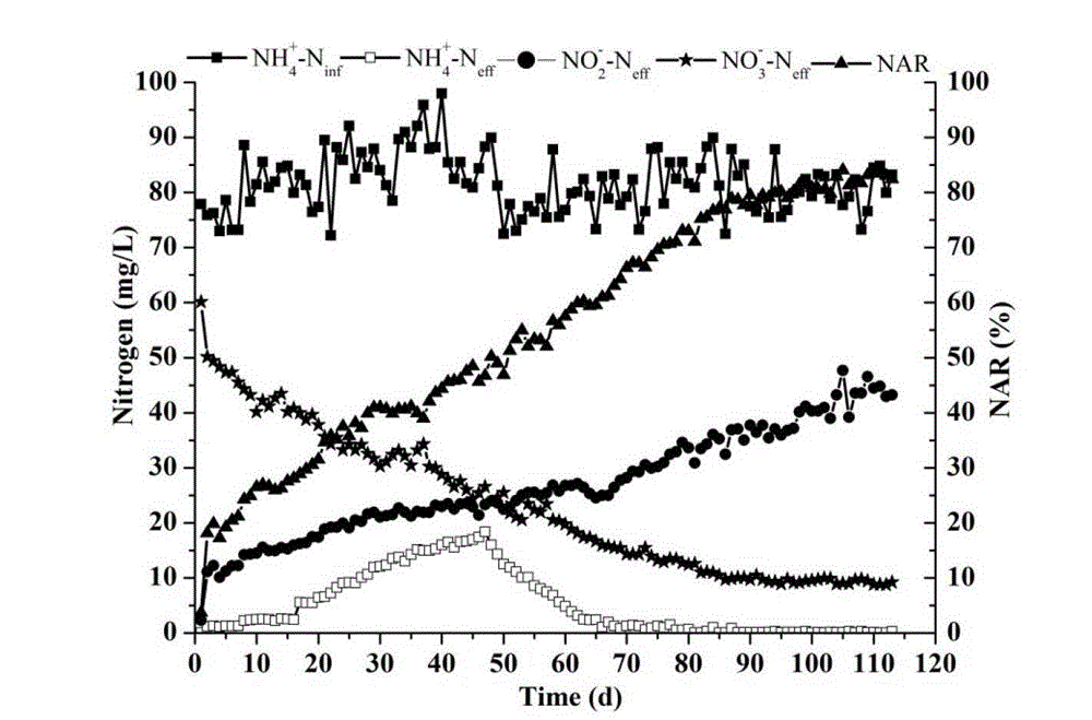 Method for achieving fast cultivation of shortcut nitrifying granule sludge