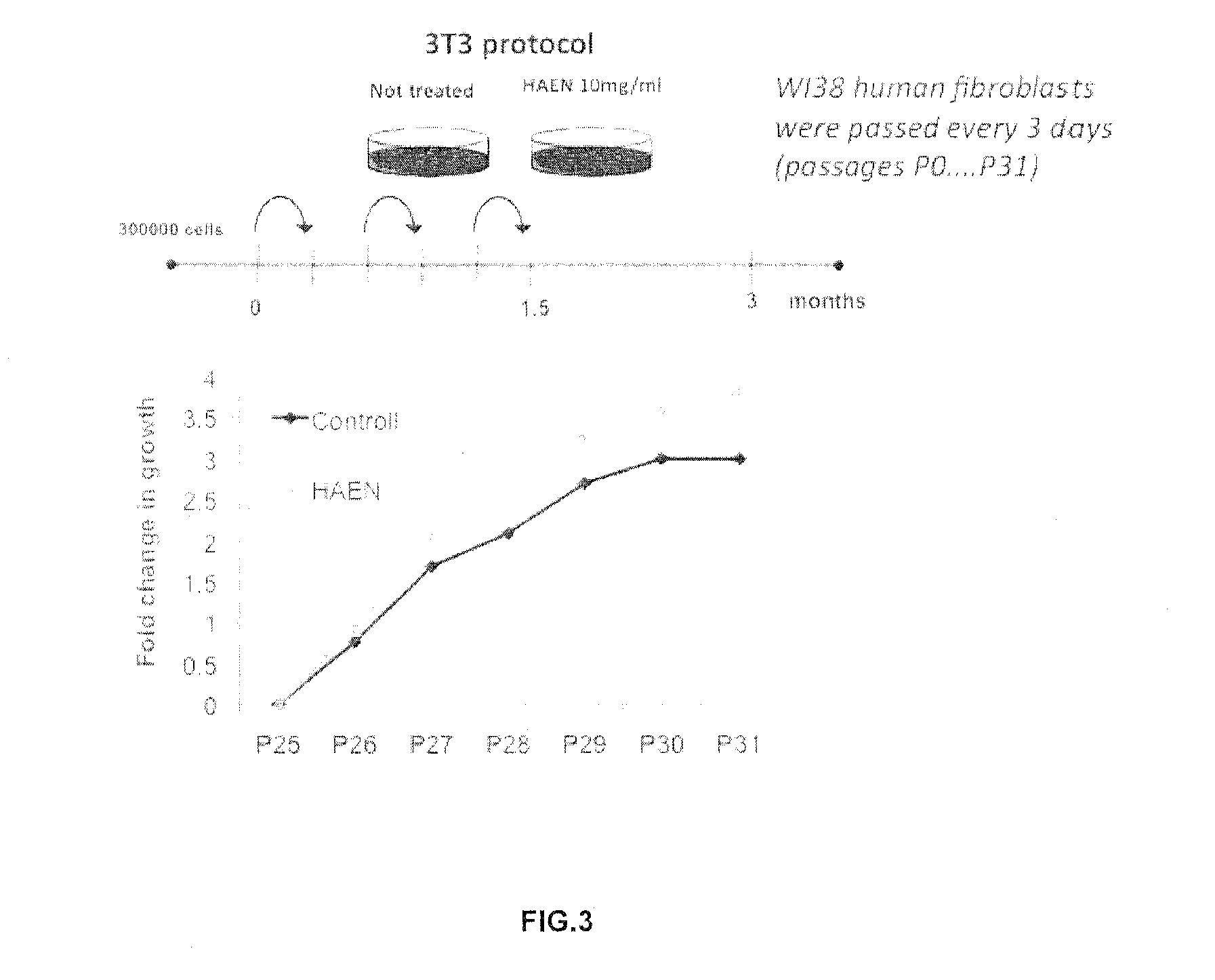 Screening method and substances for contrasting aging