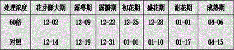 Dormancy breaking agent for fruit tree under protected cultivation and application method