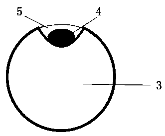 Cast-in-place concrete major-diameter pipe pile body strain monitoring method based on BOTDA