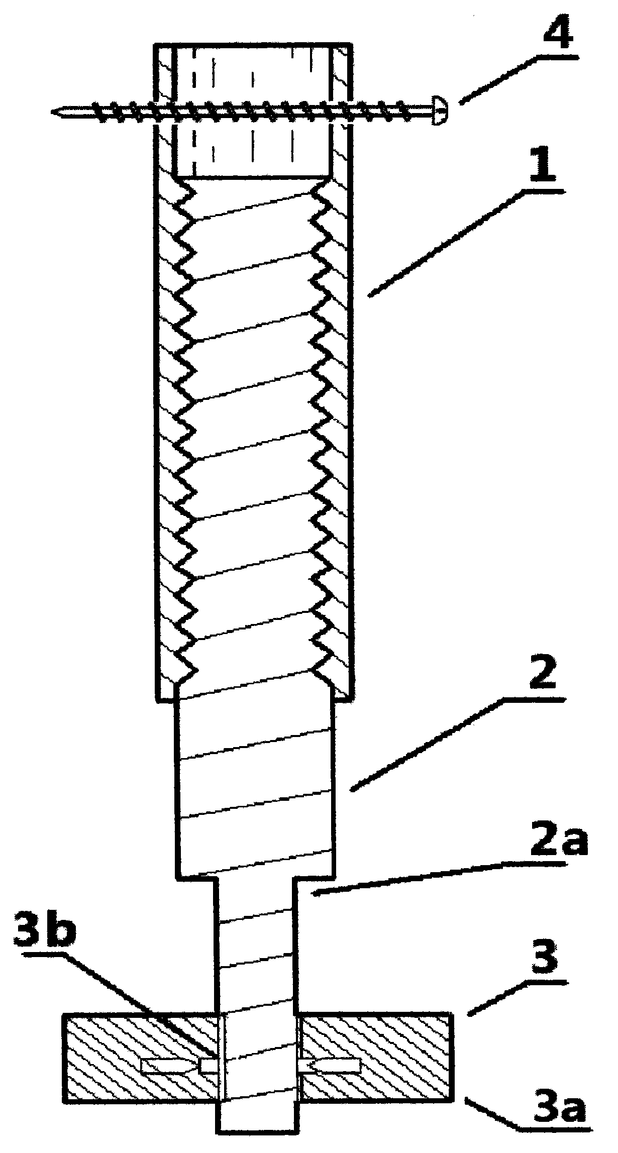 Intramedullary nail