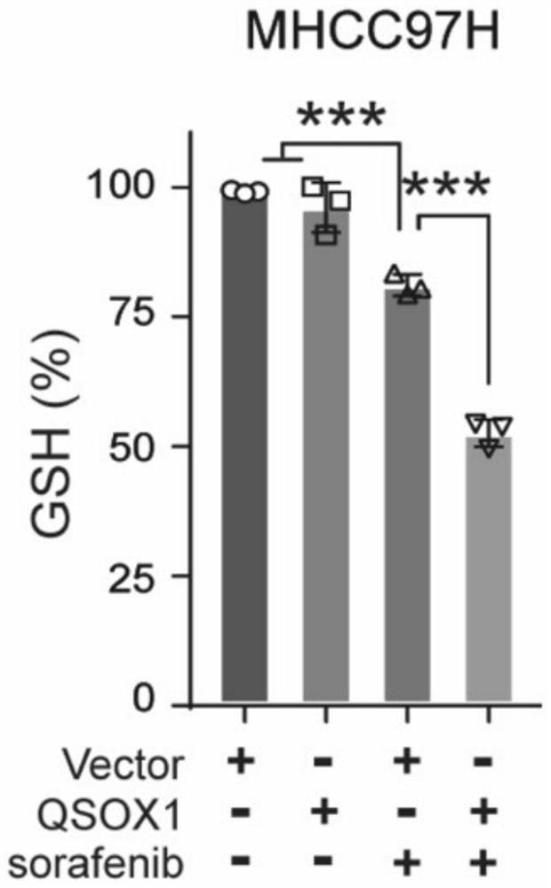 Application of combination of sulfhydryl oxidase 1 agonist and sorafenib in preparation of liver cancer treatment cells