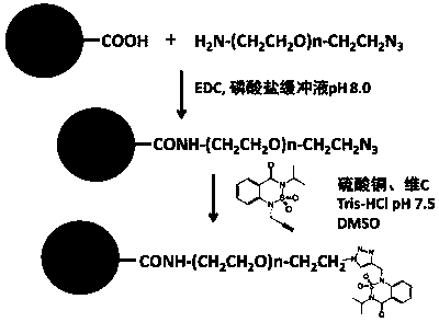 Several Aptamer Sequences Recognizing Benazone and Its Derivatives