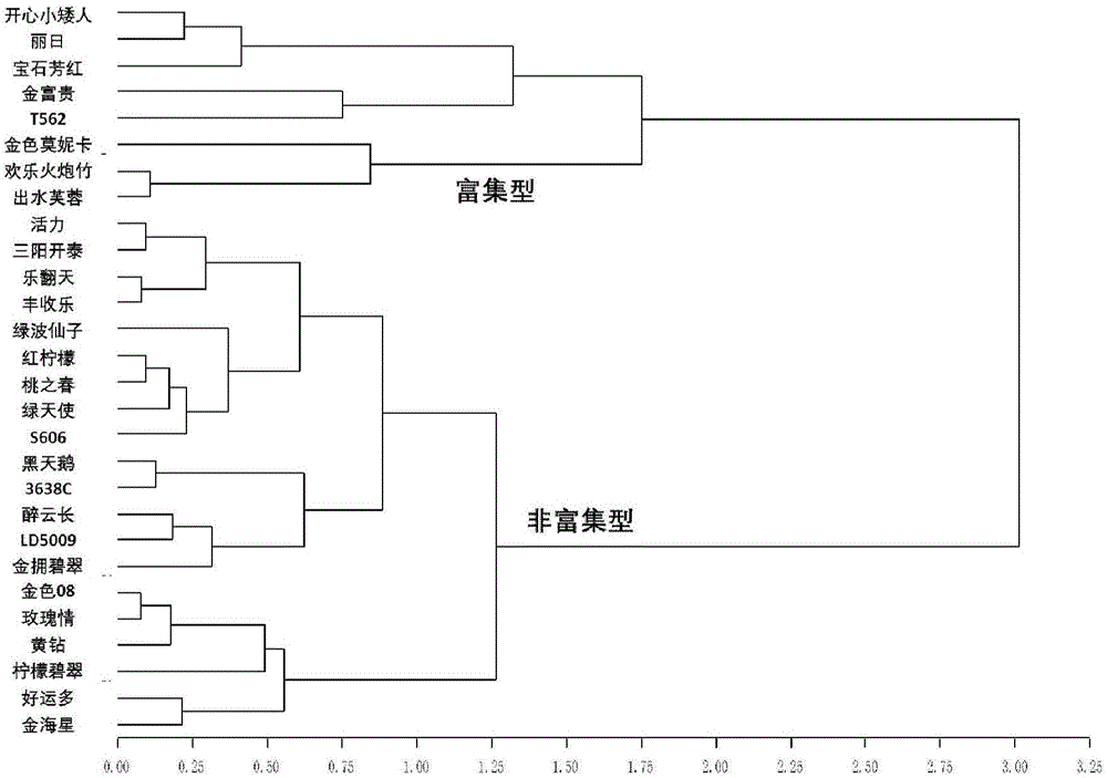 Method for restoring cadmium and lead polluted farmlands through enriched sunflower varieties