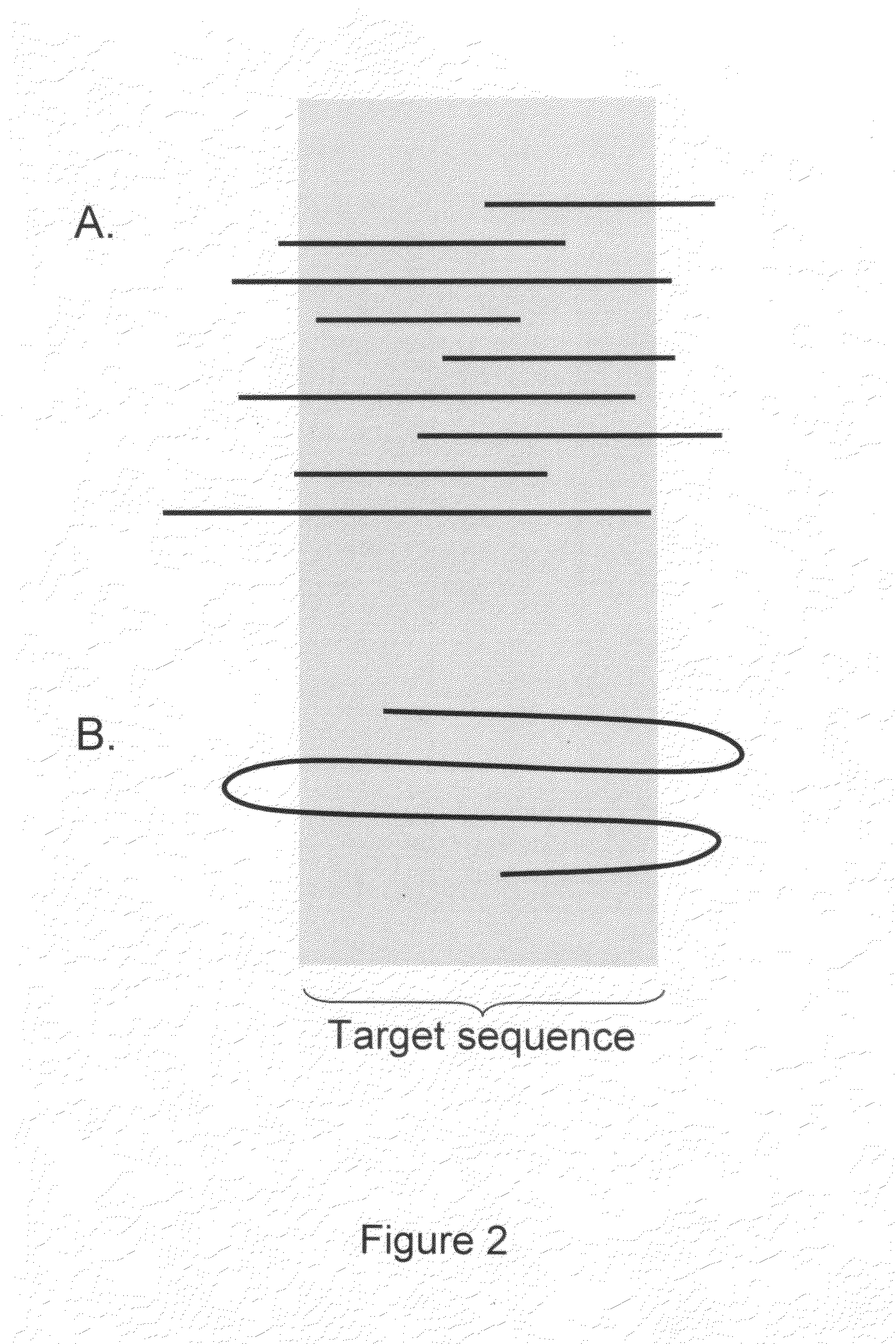 Algorithms for sequence determination