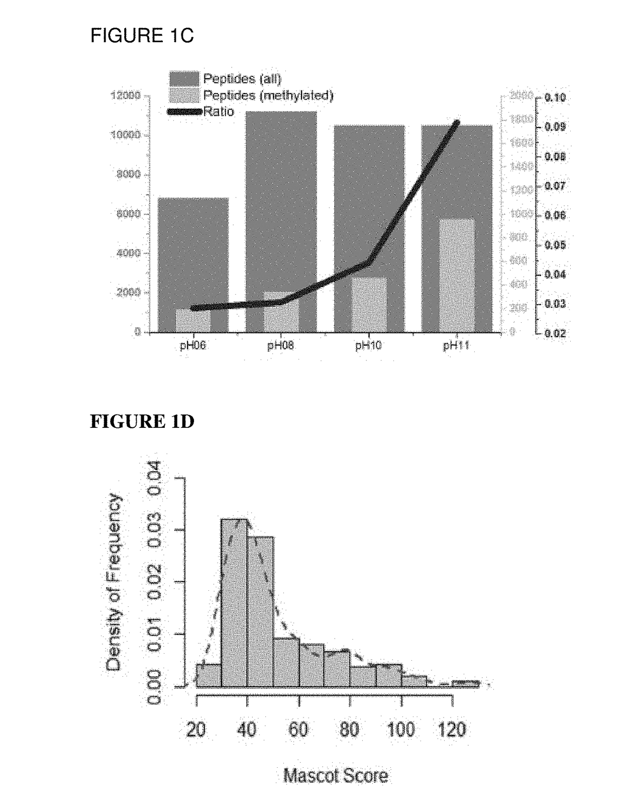 Method for profiling protein methylation