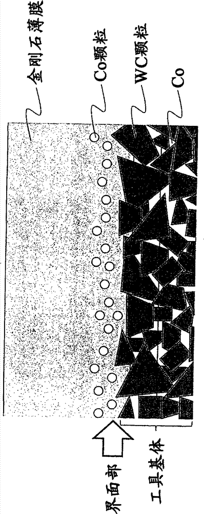 Diamond coating and cutting element