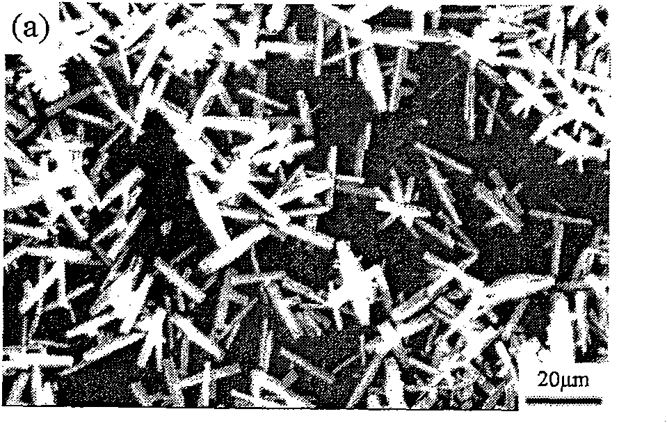 Method for preparing cobalt oxalate by pulse electromagnetic field