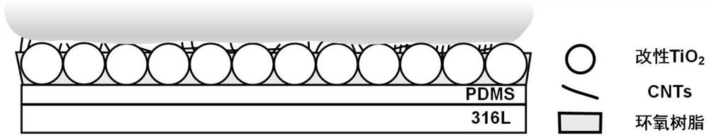 Preparation method of super-hydrophobic wear-resistant coating containing buffer structure