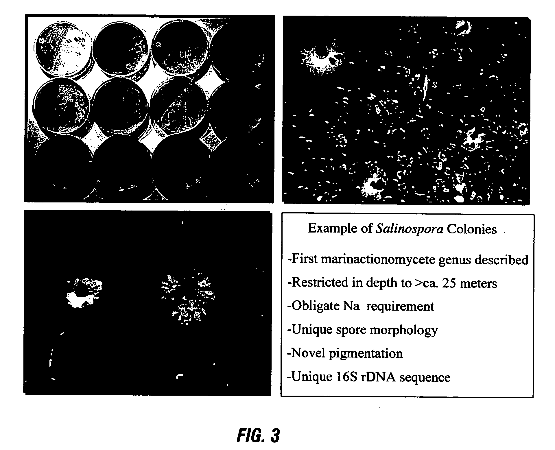 Methods of using [3.2.0] heterocyclic compounds and analogs thereof