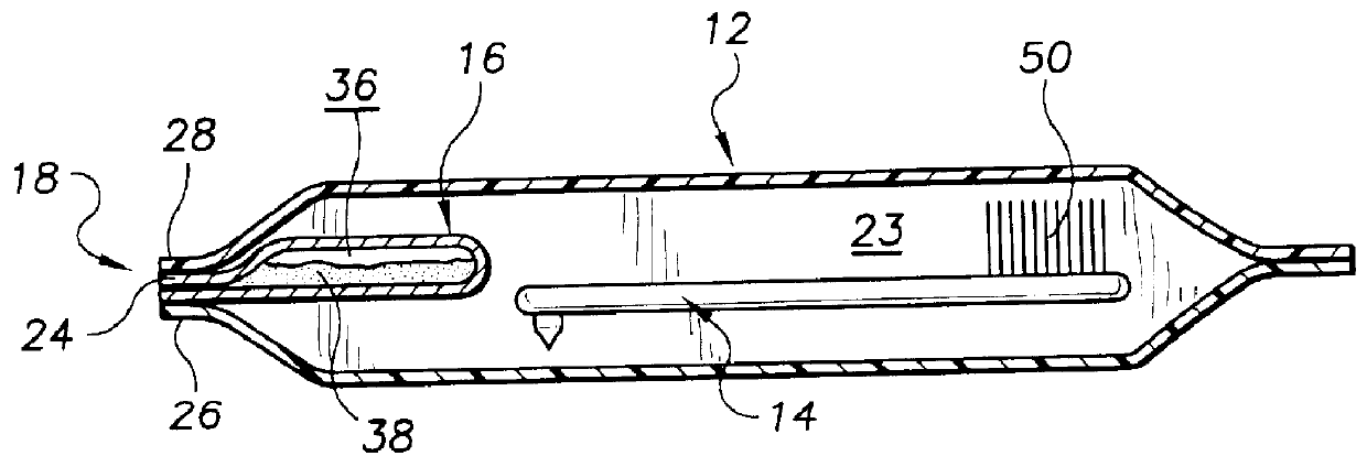 Disposable toothbrush system