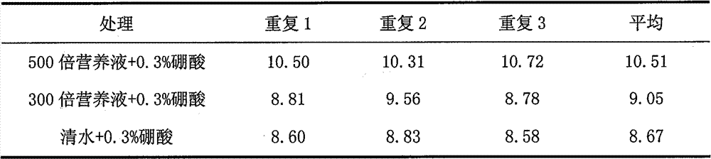 Plant source nutrient solution preparation method using walnut male inflorescences as raw material