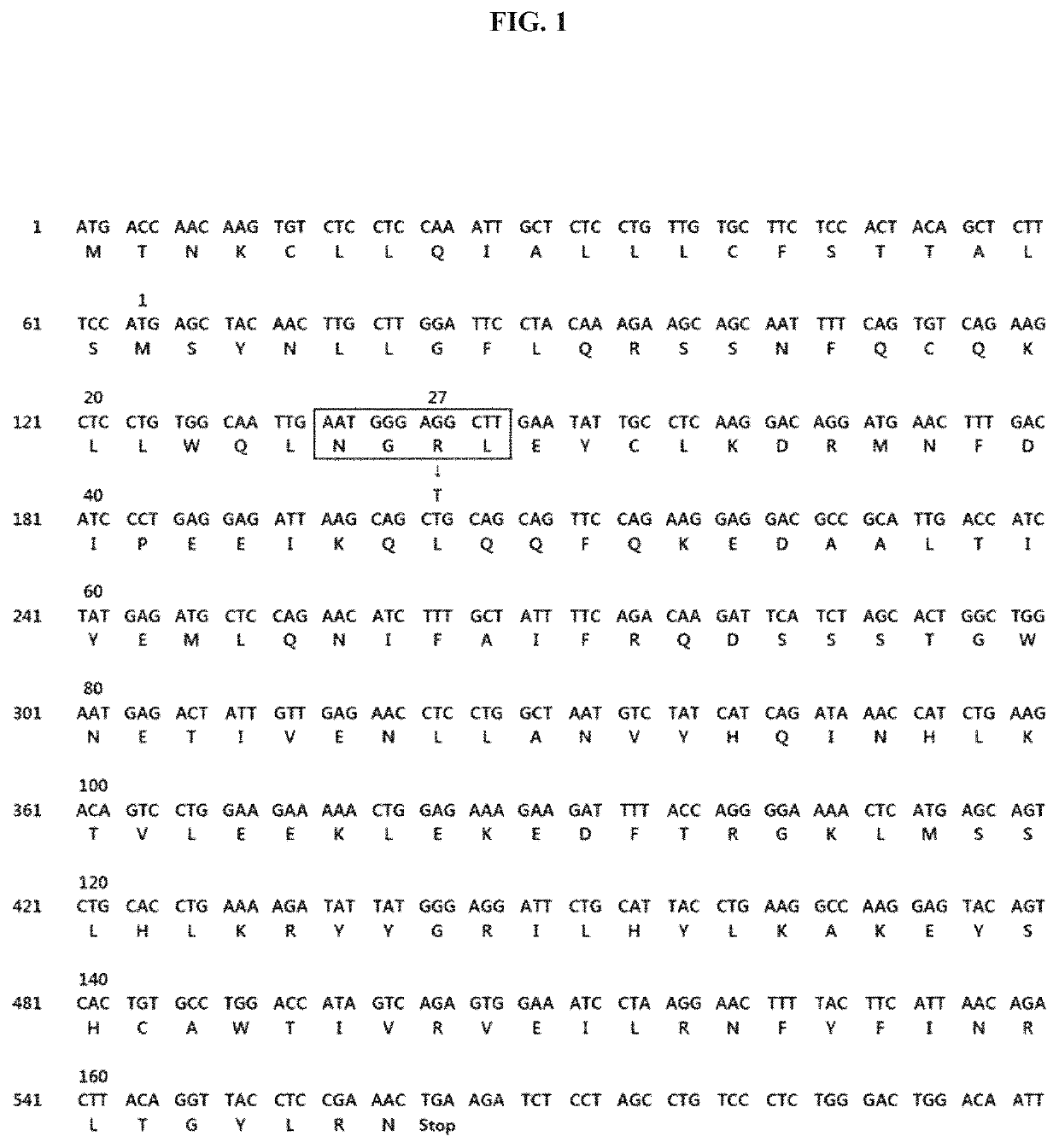 Stabilized preparation of interferon beta variant