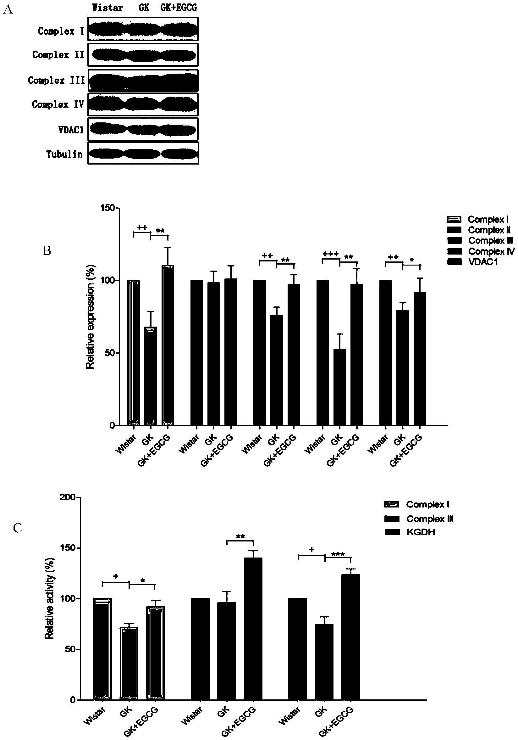 Use of epigallocatechin gallate (EGCG) in preparation of food and drug for preventing and treating myocardial energy metabolism disorders