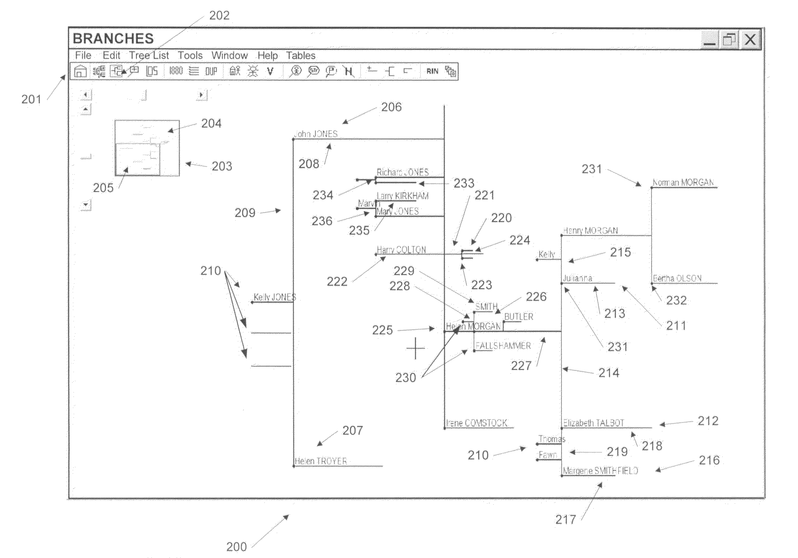 System and method for displaying and manipulating hierarchically linked data in a genealogy database using a graphical interface