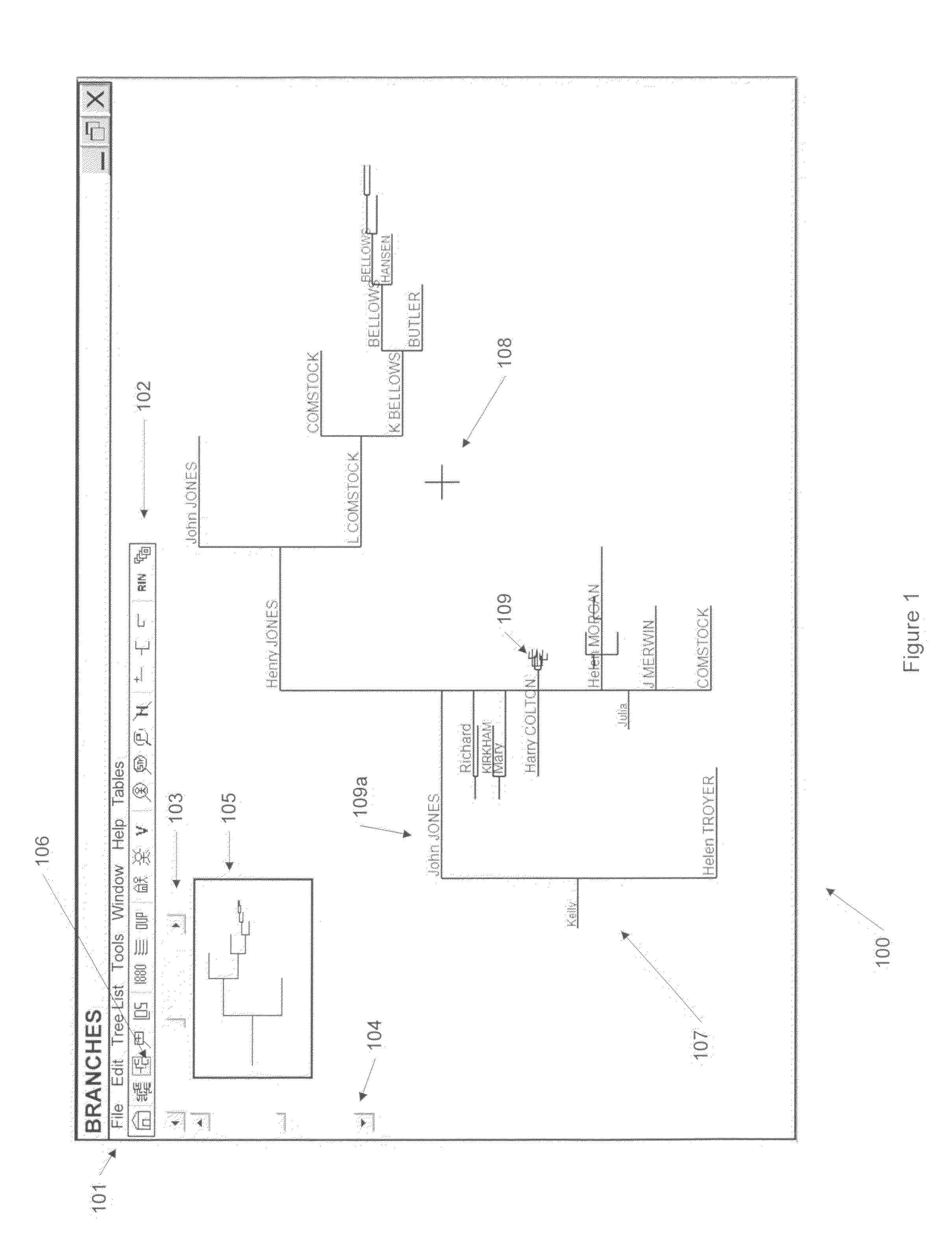 System and method for displaying and manipulating hierarchically linked data in a genealogy database using a graphical interface