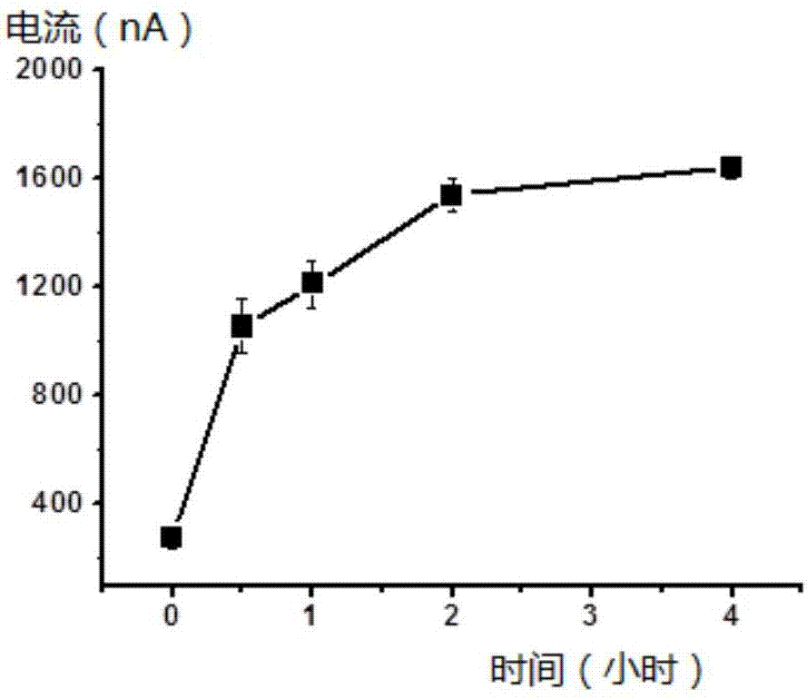 DNA tetrahedron probe for lead ion detection, and lead ion detection method