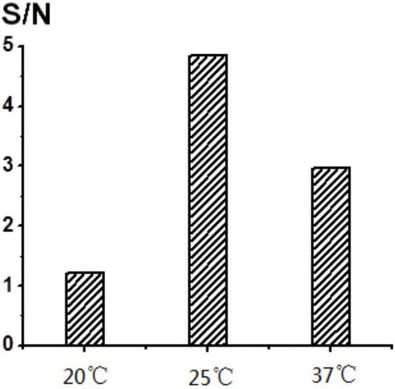 DNA tetrahedron probe for lead ion detection, and lead ion detection method