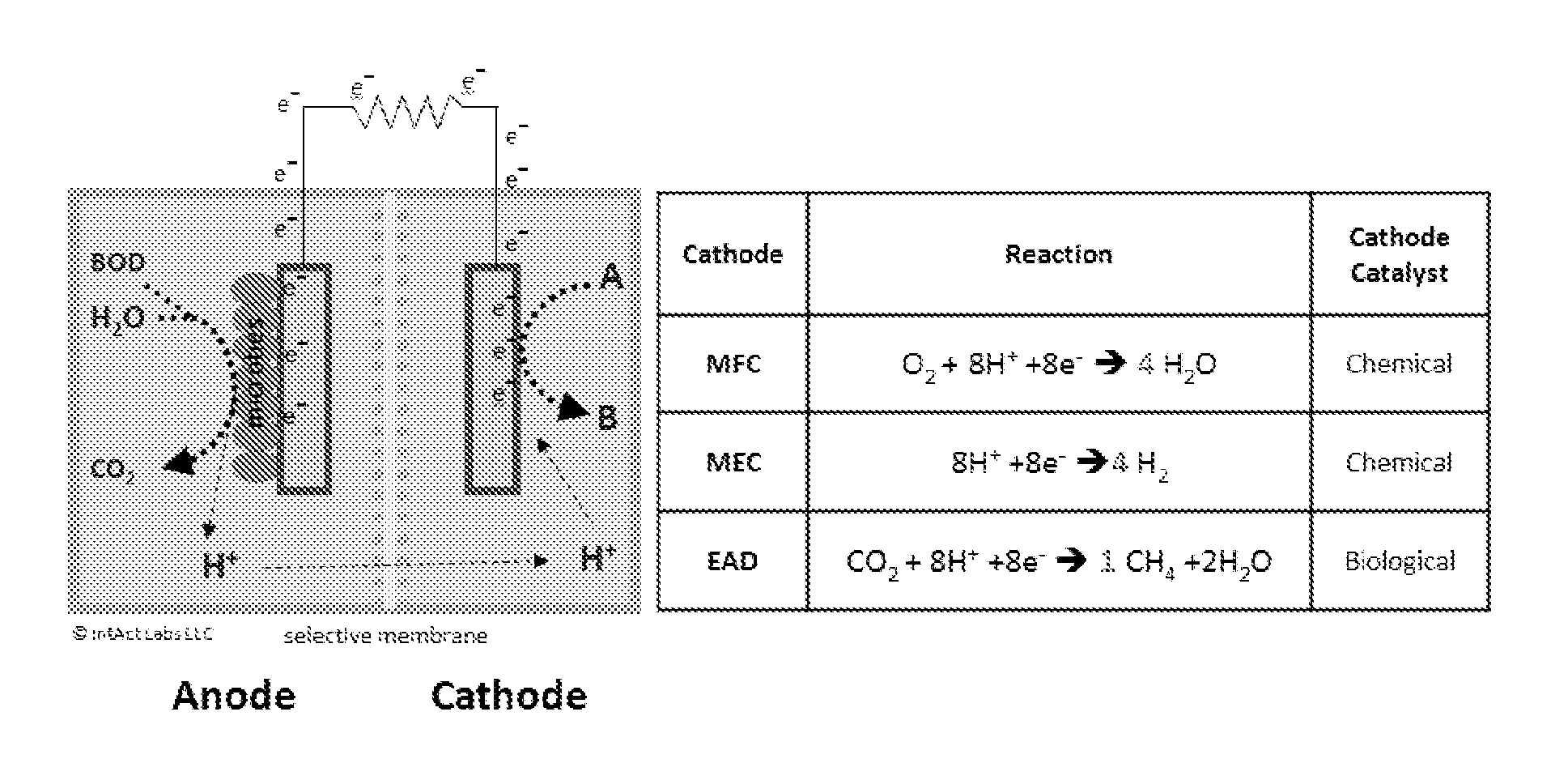 Bio-electrochemical systems