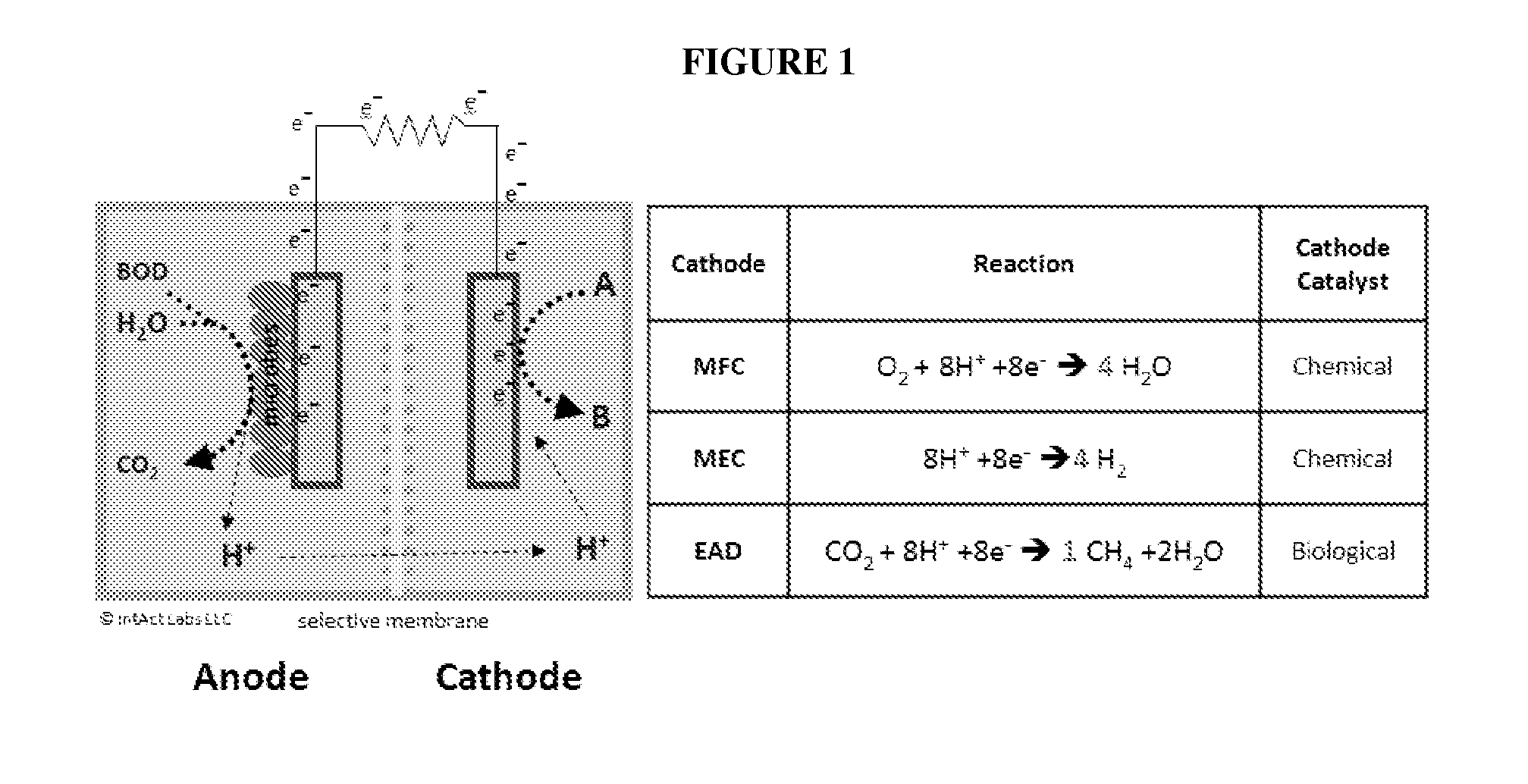 Bio-electrochemical systems