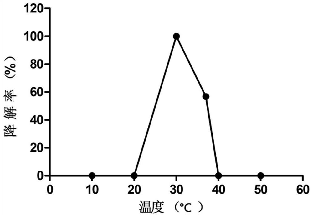 Fumonisin-degrading enzyme fumdsb and its gene and application