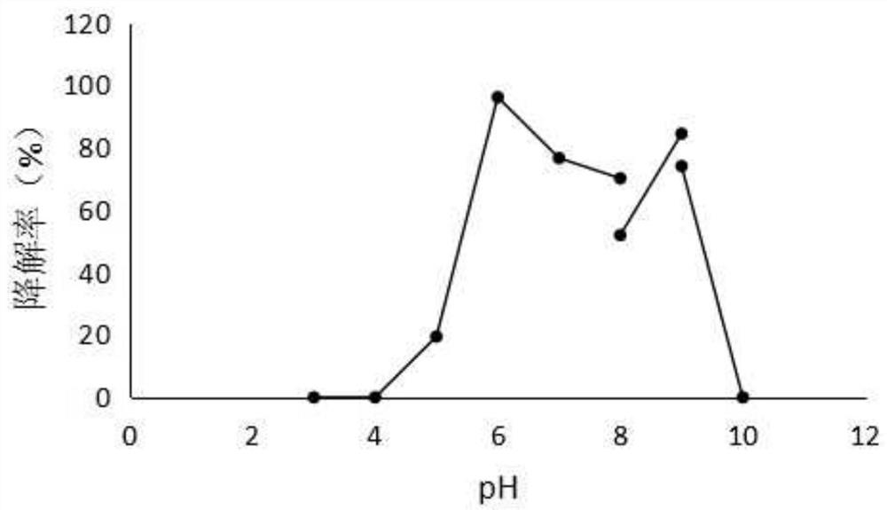 Fumonisin-degrading enzyme fumdsb and its gene and application