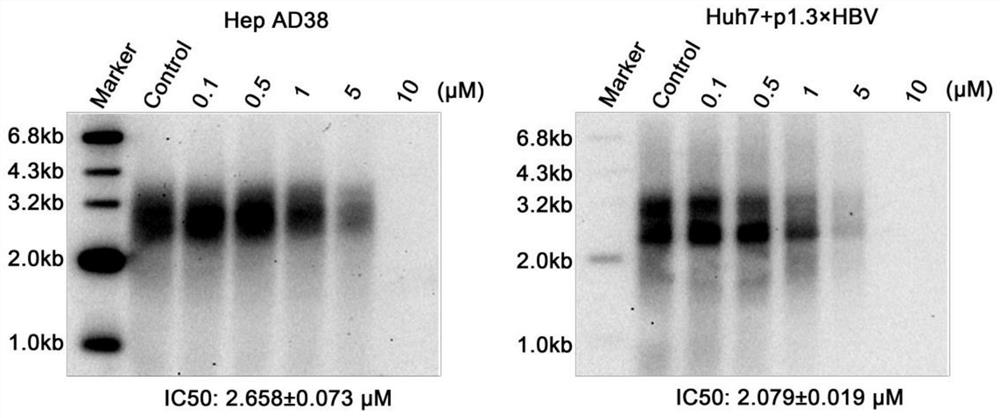 Application of benzimidazole compound in preparation of anti-hepatitis B virus drugs