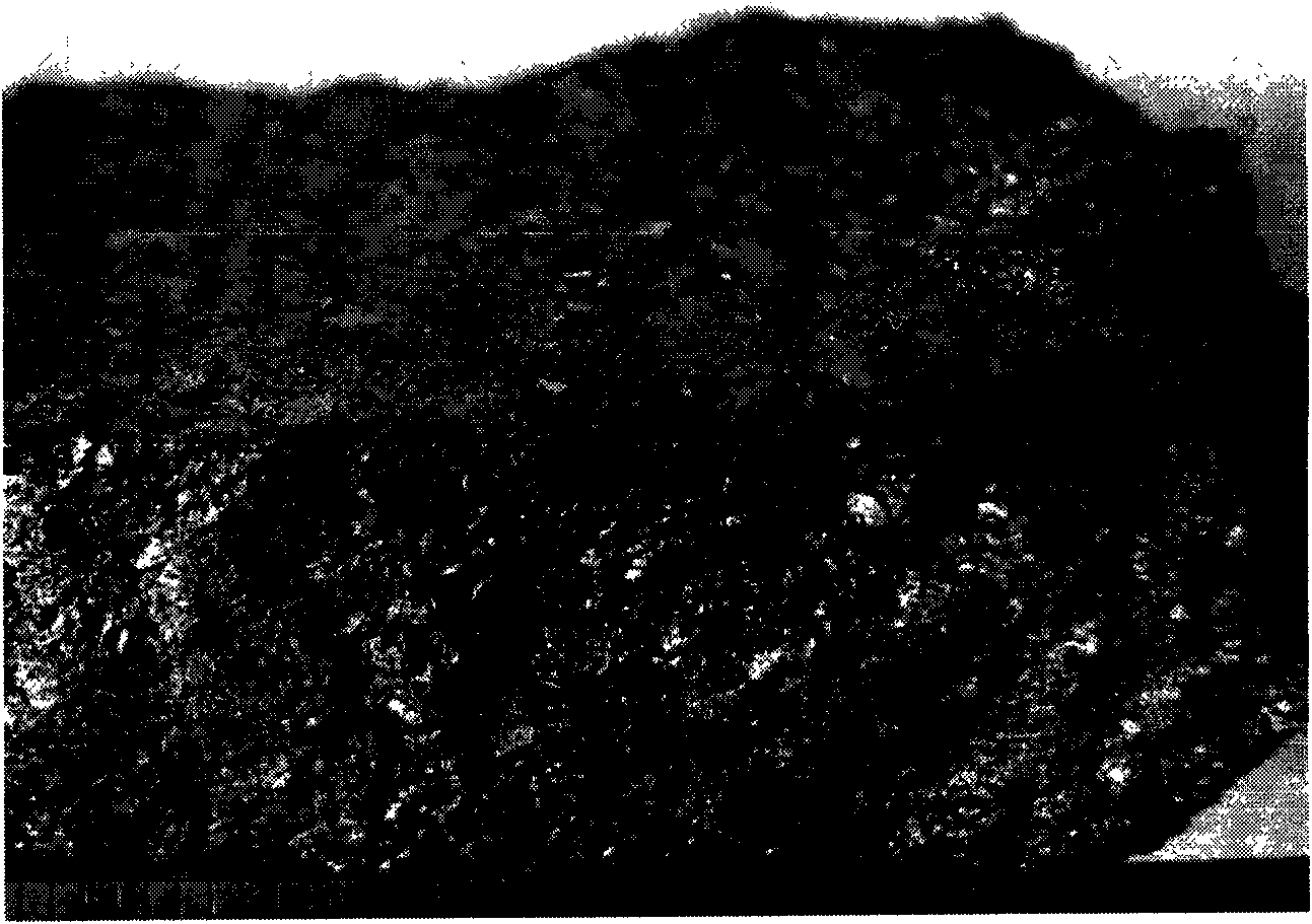 Method for producing carbonized coal with coal material