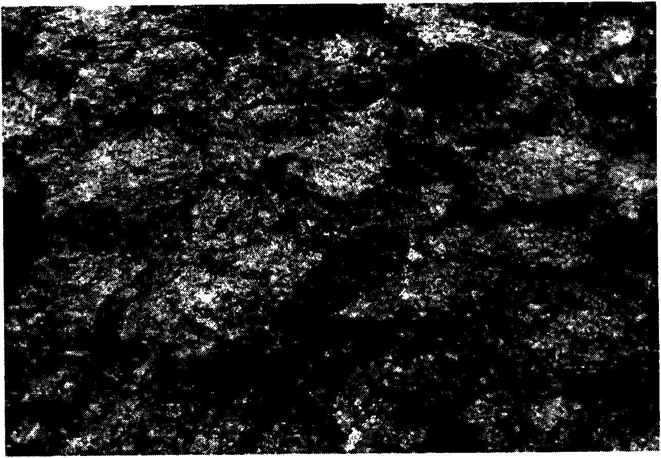 Method for producing carbonized coal with coal material