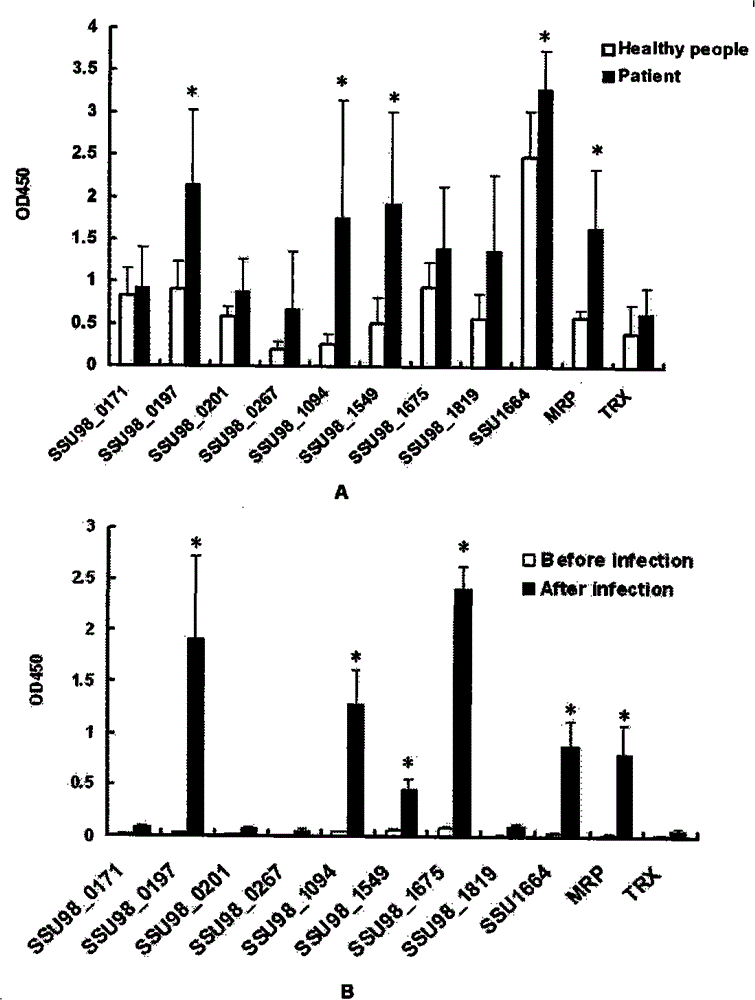 Surface protein of streptococcus suis type-2, preparation method thereof and application