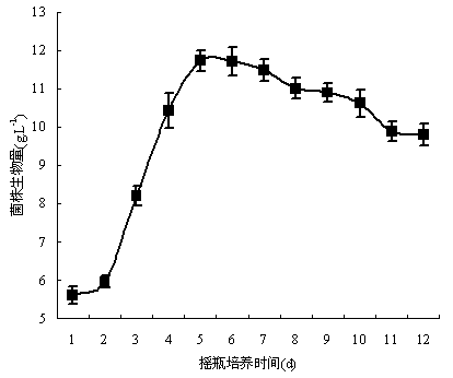 Penicillium oxalicum BAM-1 as well as separation and purification method and application thereof