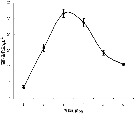 Penicillium oxalicum BAM-1 as well as separation and purification method and application thereof